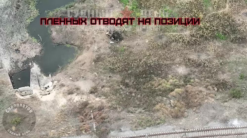 ����� ������ �������� ��� � ���������� FPV ����� ��-40