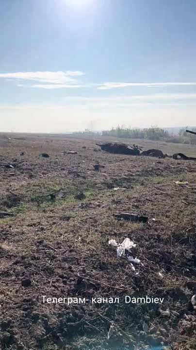 ������ �������: ������ ����������� ���������������� �� ����������� �����������