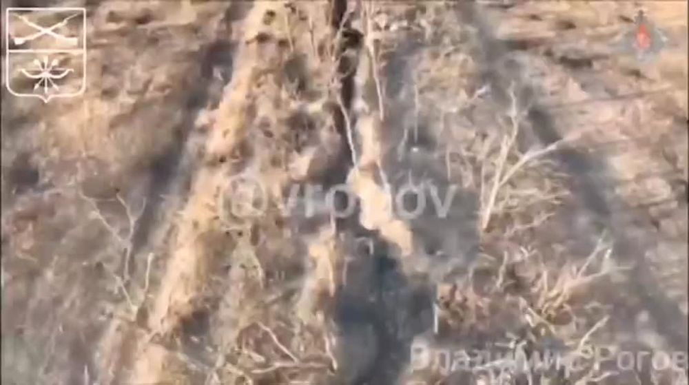 �������� �����: ����������� ���� � ������������ ������ ����������� � ������ ����� ������