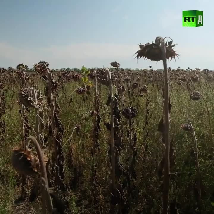������������ ����!. ��������� ������ ����� ������������� ������� ������� �� ����� ����������� �������. ������������ ���������� ������� �������� ��������� ����� ���� ��������� � �������������������� �������, ���������� �� ������ �������� ������