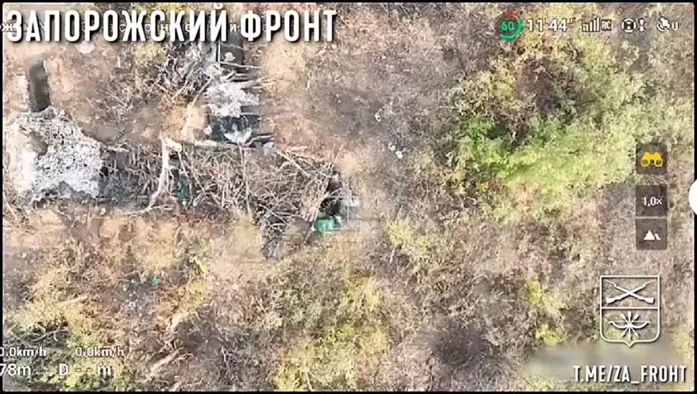 ����� ������ ���������� 35 ����� �� �������� ��� �� ����������� �����������