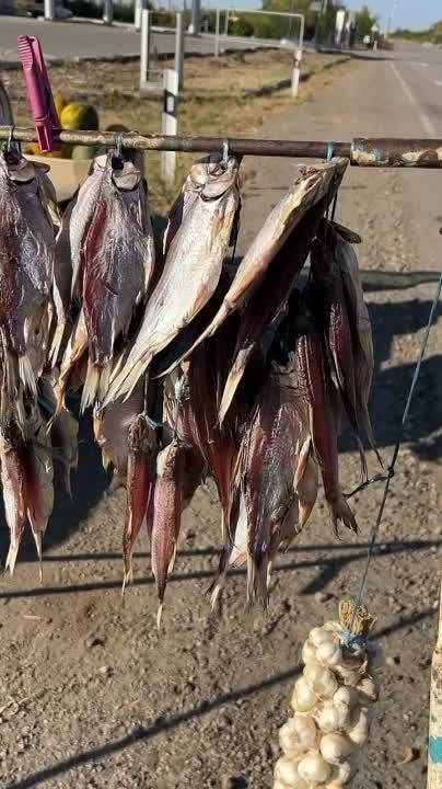 ������� ����������: �������� �� ��������. � �������� �� ����� ���������� ����� �������� ������� �������, �������...