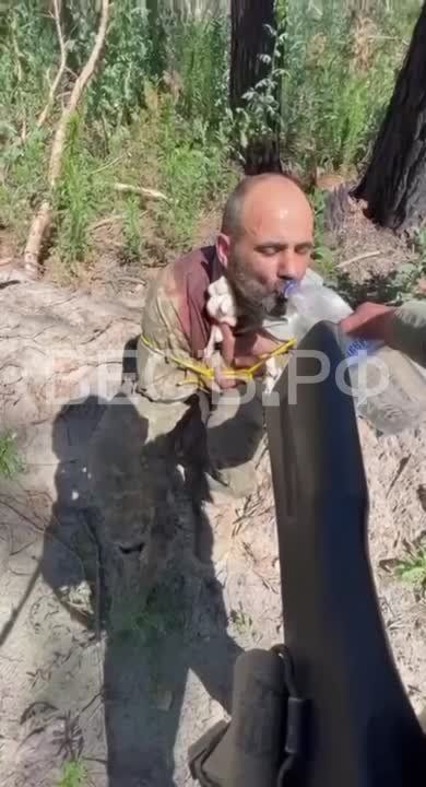 ���� �� �� ����� ������ � ��������