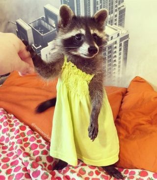 ������ ����, ������! �������� ��� ��� � ����������!