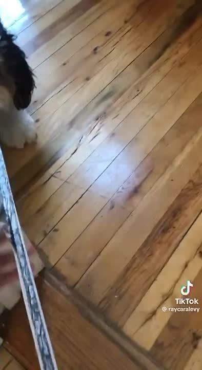 #����������. �������� ����� �������� ��������� � �������
