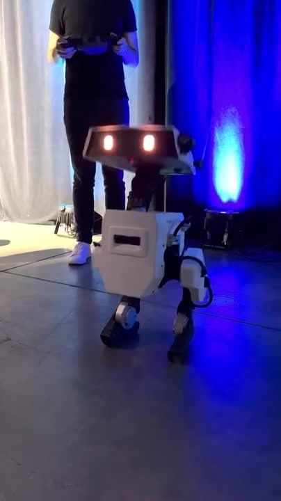 ����� ������ ����-� �������� �������
