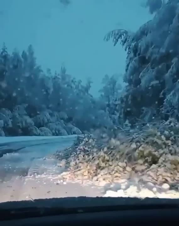 ������ ����������, ������ ������� ���� ���-�� ��� �������