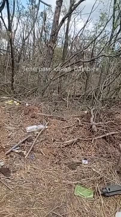 ������ �������: �������� � ��������� �� ����������� ����������� ���������� ���-1