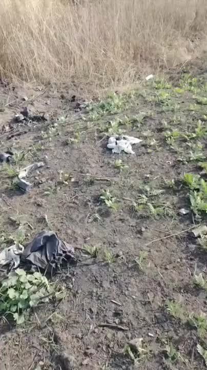 ������ �������: ����������� �����������. ��������� ����� ����� � ���������� ���-1 �������� ������ (�������, ������ � �������� � ��������)