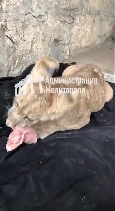 ������� �������� � ����������� � ����������� ������� ������ � ����������� ��������� ������