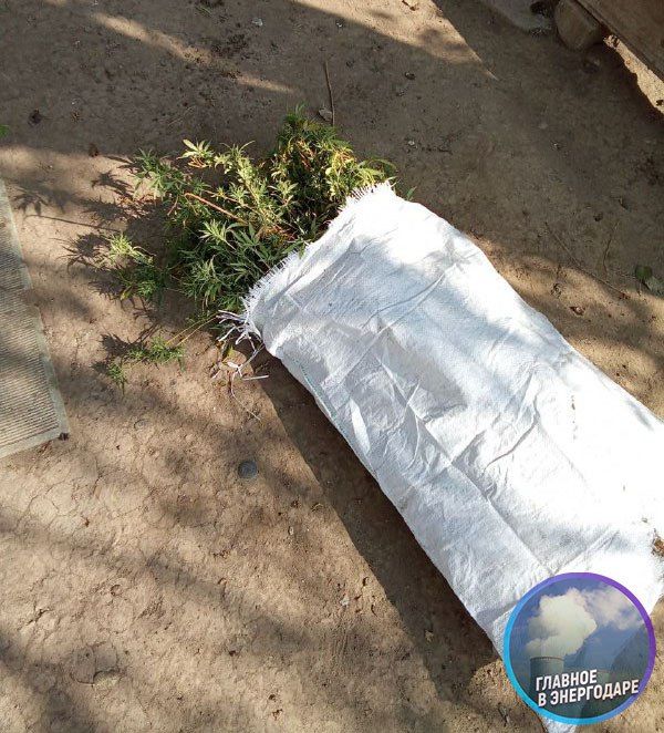 �� ���������� �������� ���� ������ ������� ��������������� ���������� 32 ����� ��������, �������� �� �������