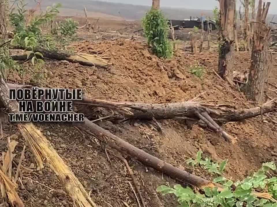 ������������ ������������ ��� �� ����������� �����������