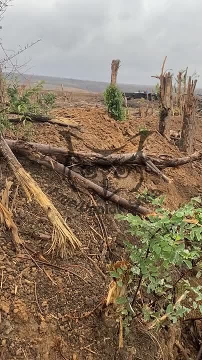 ����� �����: �����. ����������� �����������. 4 ������������ ������� ������� ���