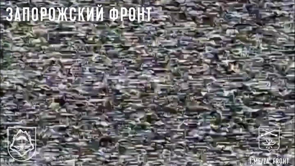 ������ ������� FPV-������ ���������� �������� ������� �� ����������� �������� ��� �� ���������� �����������