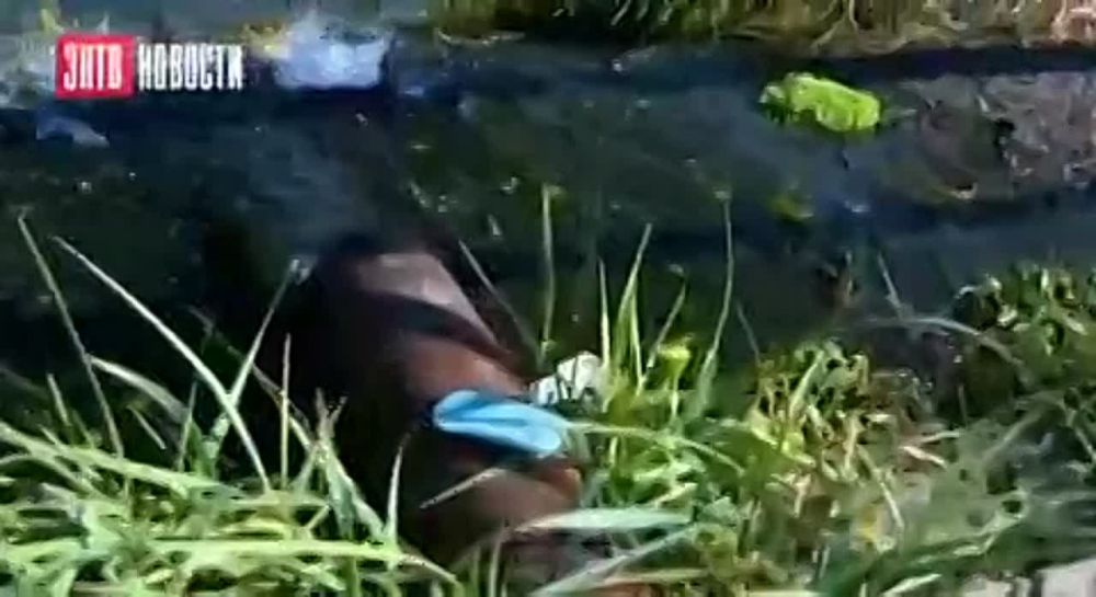 �� ����������� ������� ������� ���������� �������������� ���� ��� ������������� ������ ����