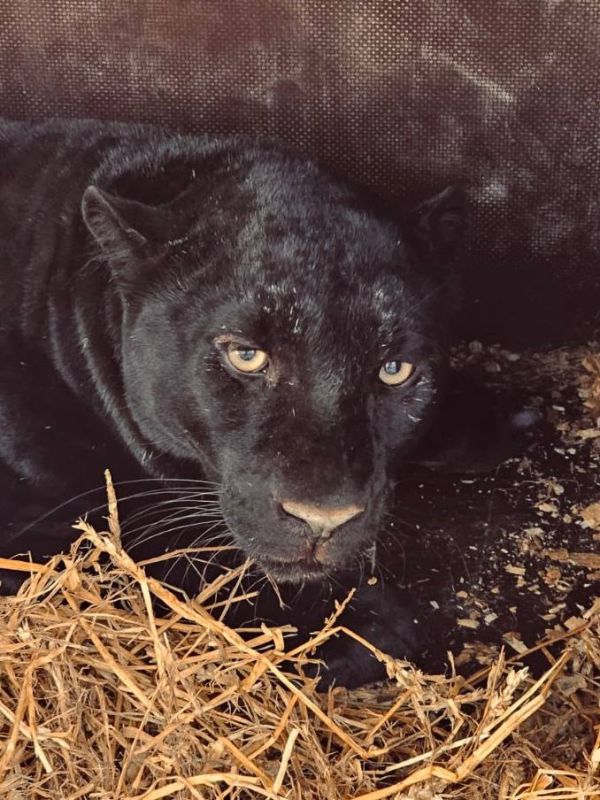 ������� ��������� ������� ��������!�