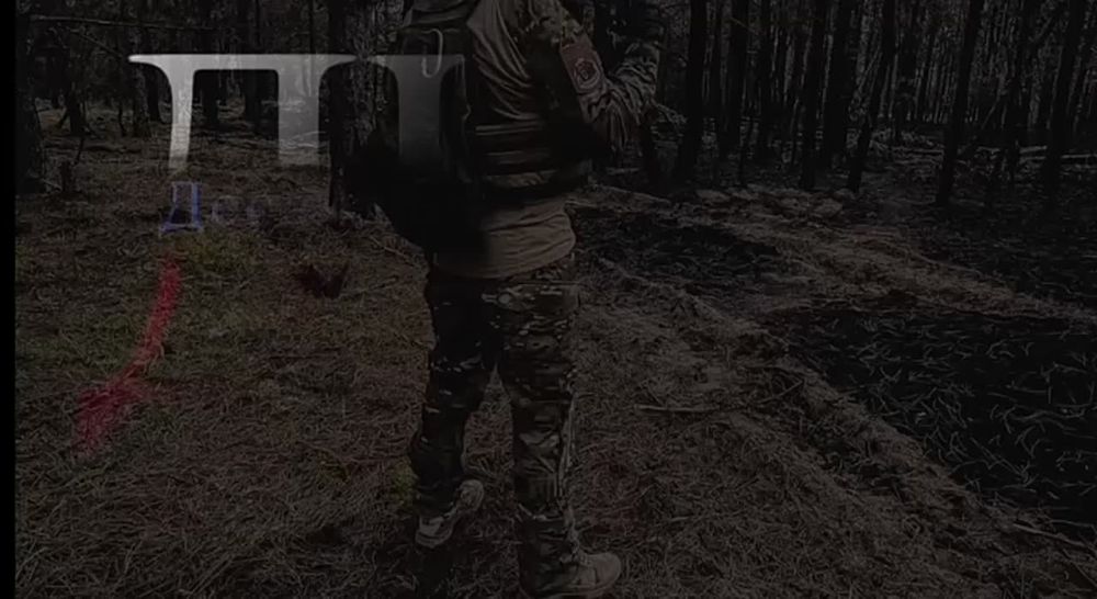 ����� ����� � ������������ ������