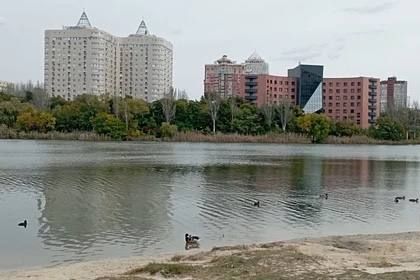 В ДНР приступили к расчистке донбасской реки Кальмиус