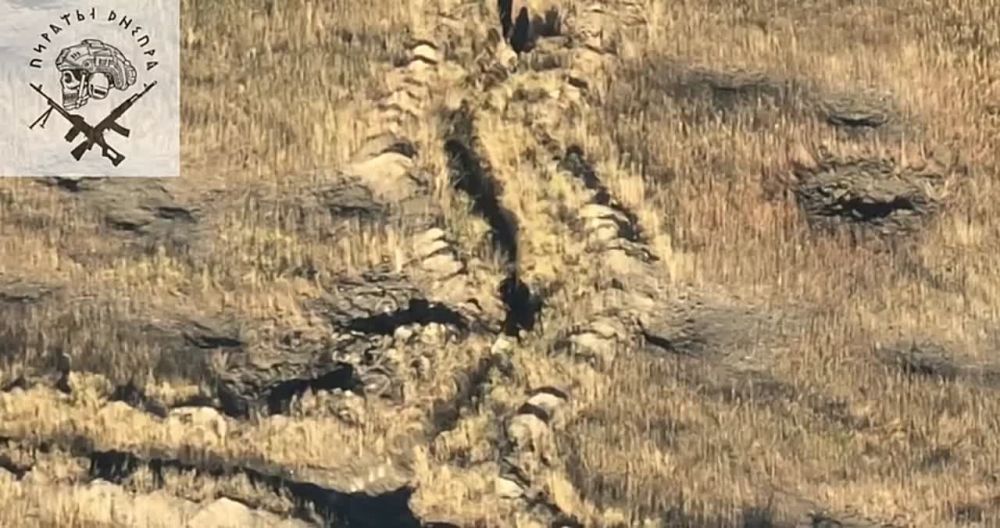 Андрей Руденко: Наши военные на Запорожском направлении заманили группу украинских военных на заминированные позиции