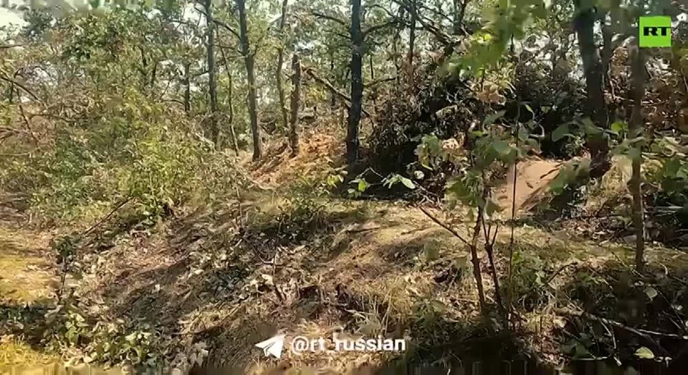 ����� 1430-�� ����� � ������������ � ������ �������� � �������������� ���������� ��� ���