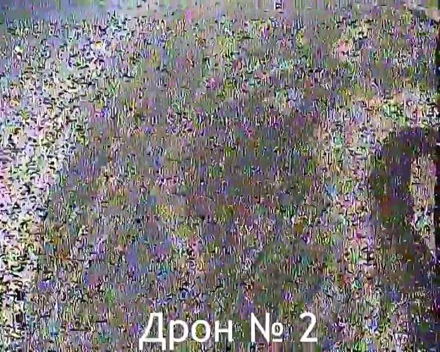 ����� ������ �������� ������ ������ ������-��������� ��� � �������-�����������