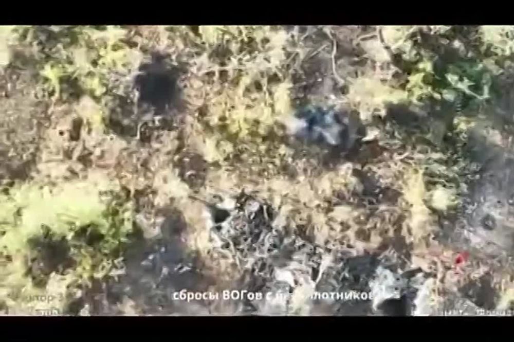 ���������� ���������� �������� � ������ ���������� �� ����������� �����������