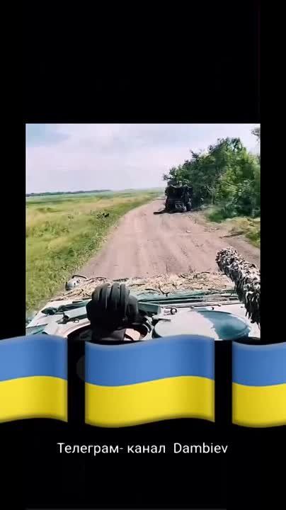 ������ �������: ��� ���� �������� �� ����������� ����������� ���������� ��������������� International MaxxPro� ������������� ������������