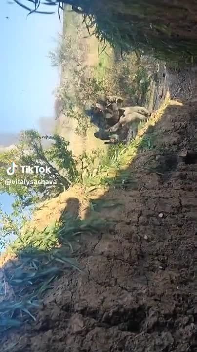 �������� ������� �� ����� ������� ������ ������� ���������� �����