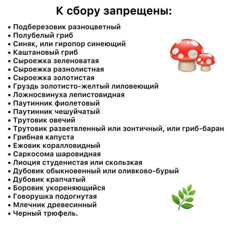 � ������������ ��� �������� � ���� ������ ��, ������� ������������� ��������������� �� ���������� ���� ������������� �������� � ������