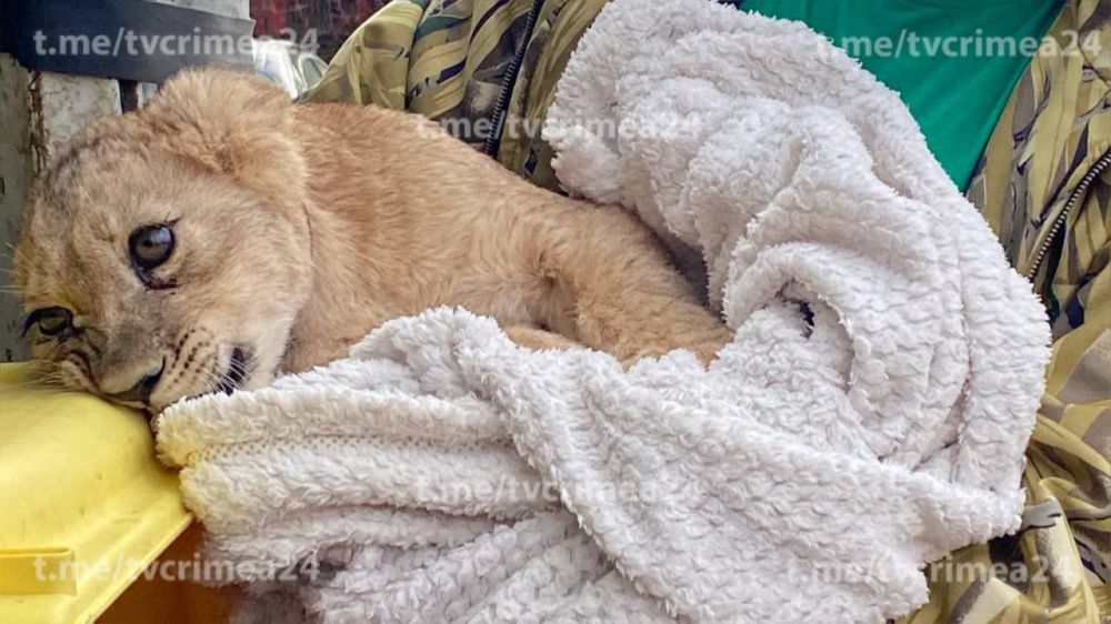 � ���� �� ���������� �������� ������, ��� ������� ���������� ������� �������