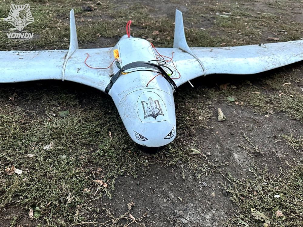 Юрий Котенок: Разведывательный украинский БПЛА "Фурия" с дальностью полета 50 км, "приземленный" сегодня средствами РЭБ в районе н.п. Приютное (Запорожское направление)