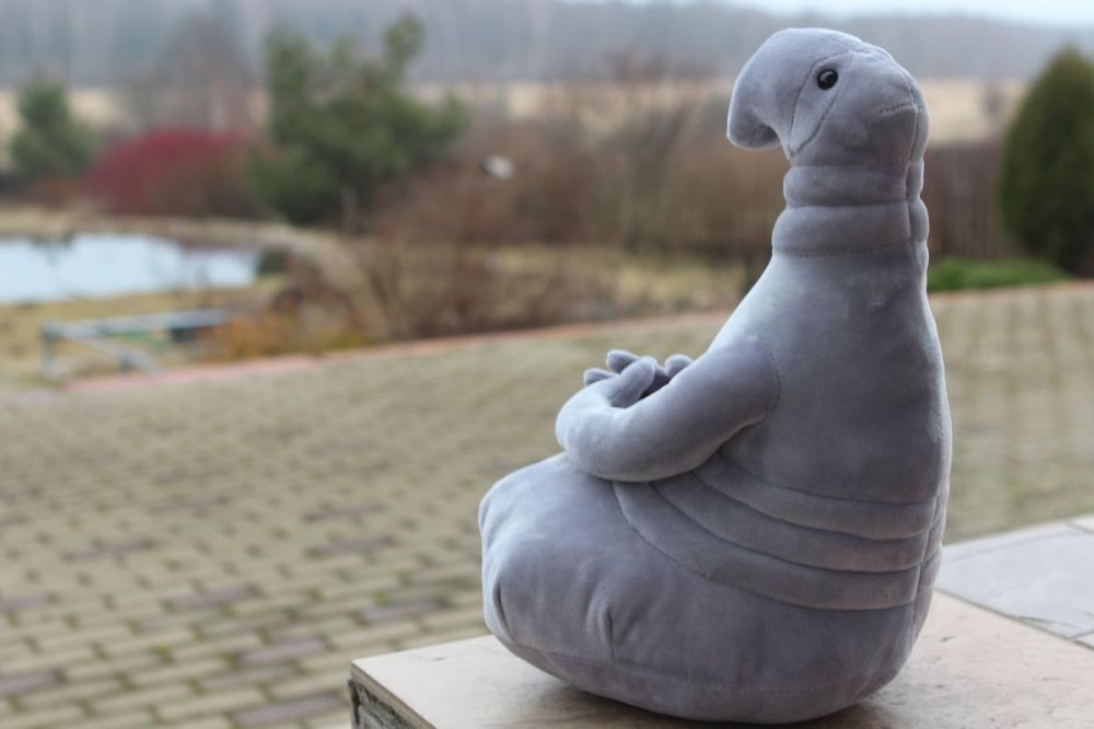 �� ������� ������������ ������� ����� � ������������ ���������� �� "�����" �������