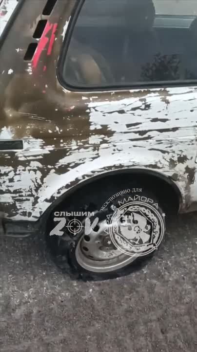 ��� ������: ����������� �����, ����� ��������