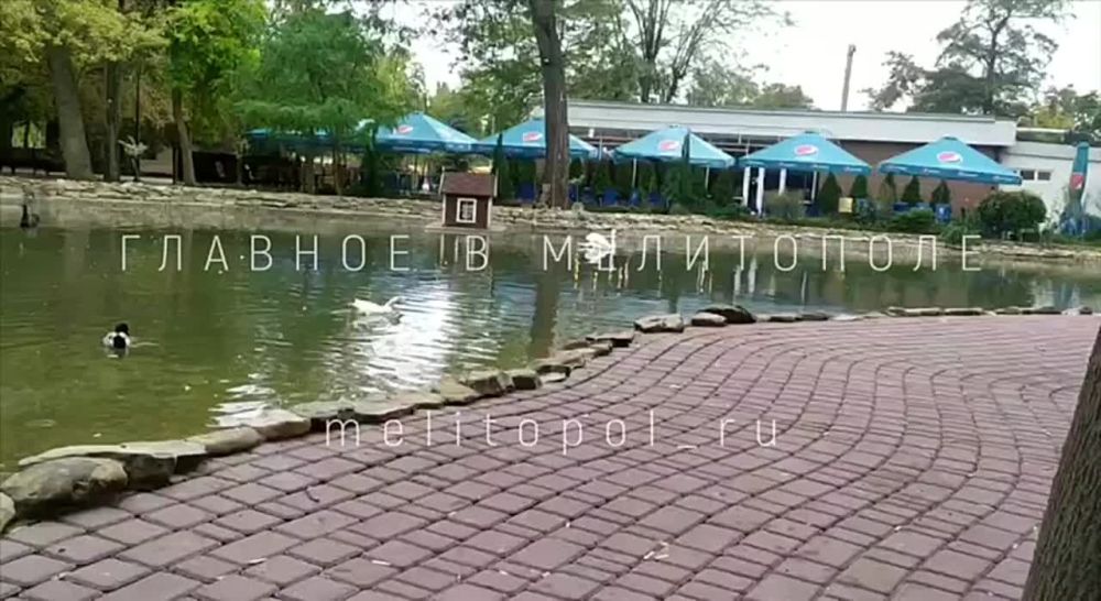 � ����� �������� ��������� ����