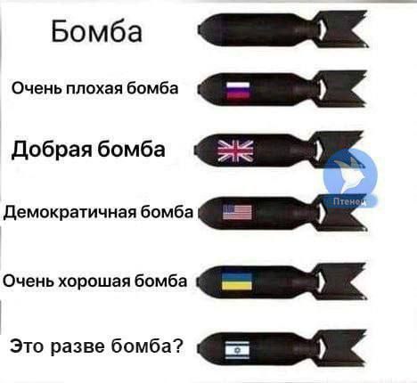 � ���� ���������� �������� ��������� �������� �����������
