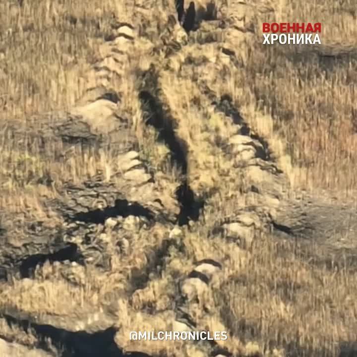 ��� ����������� � ����������� ��������� ��� ����� ��������: ������ ������� �������