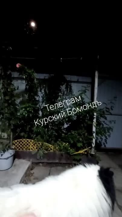 ����� ������ �������� ������������� ����� �� �����