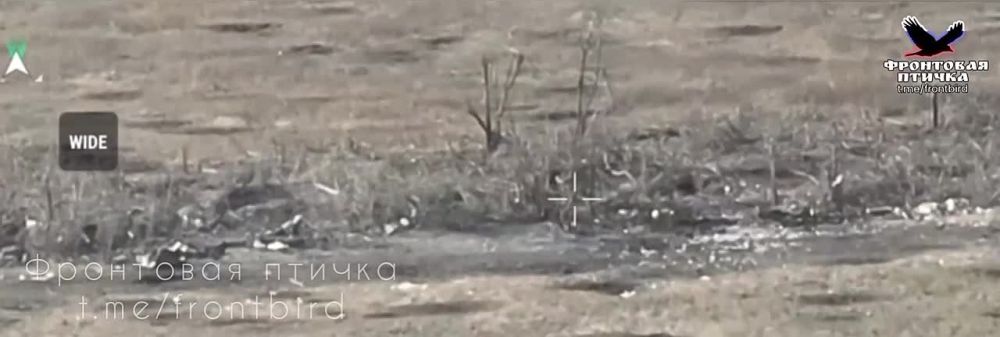 Андрей Руденко: Вербовое Запорожье. «Краснополь» + украинский блиндаж= все 200-е