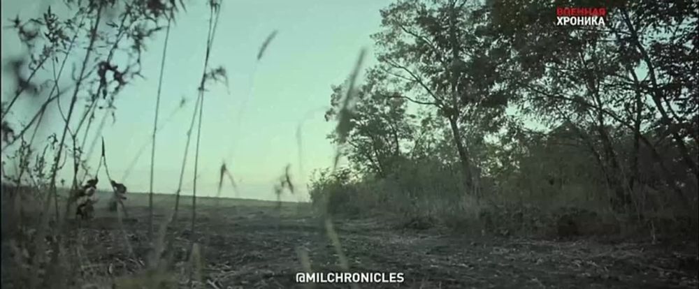 ���� �� ����������� ������: �������� ���������� ������������