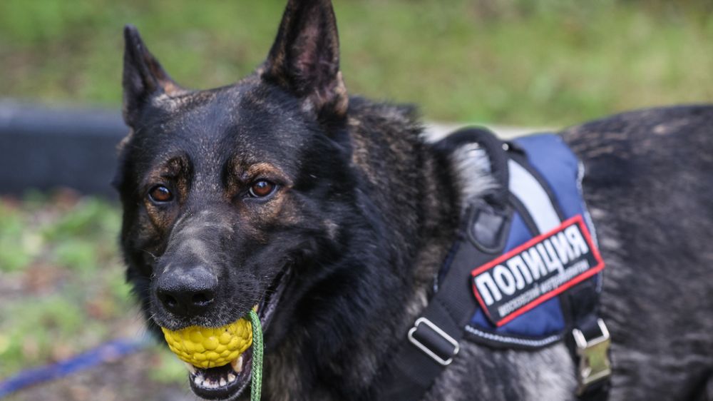 �� ��������� ����������� ��������� 18-������� ������������ ������ � ������������ � �����������