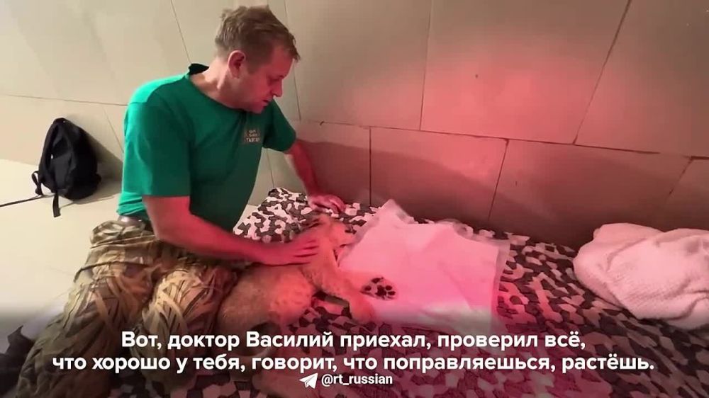 � ����� ������� �������������� ������, ������� ������� � ���������� ������ � ��������