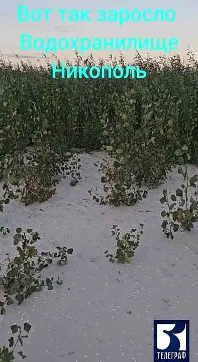 ��������� ������������� � ������ �������� ������ ��������, ��� ������� ���
