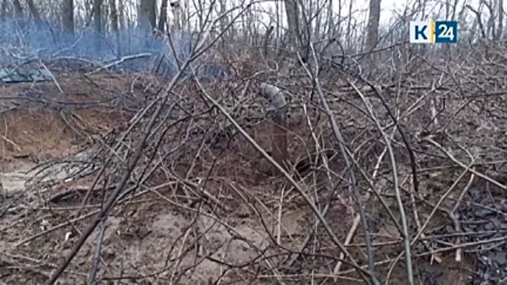 ������� �������: ��� ����� ������� ��������� ������-�����������