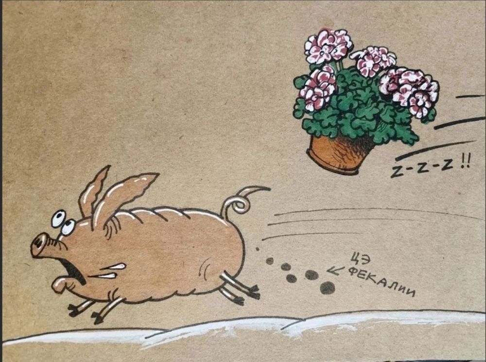 Сергей Колясников: Ночка на Украине выдалась веселой, давненько такого не было