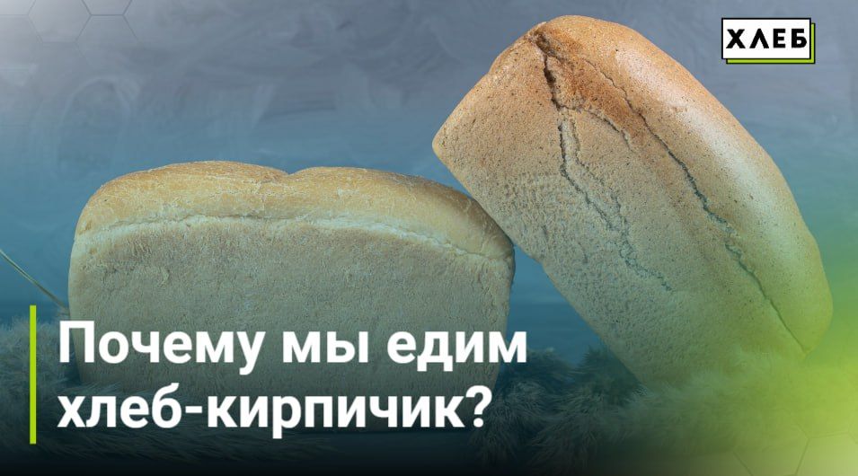 ������ �� ���� ����-��������?