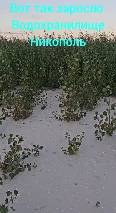 ��� ��, ��� ����� ���� ������� ���������� �������������