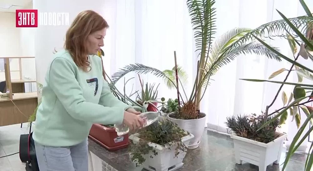 �� ��������� ��������� ����������� ��� ���� ��������� � � ������������ � �������� ����� ��� ���������� ������� �������� ������� � ������ ����� ������������ �����