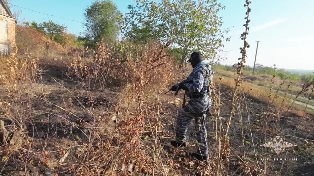 ����� ����: � ����������� ������� ����������� �������� ���������� ������ ���������� � �����������