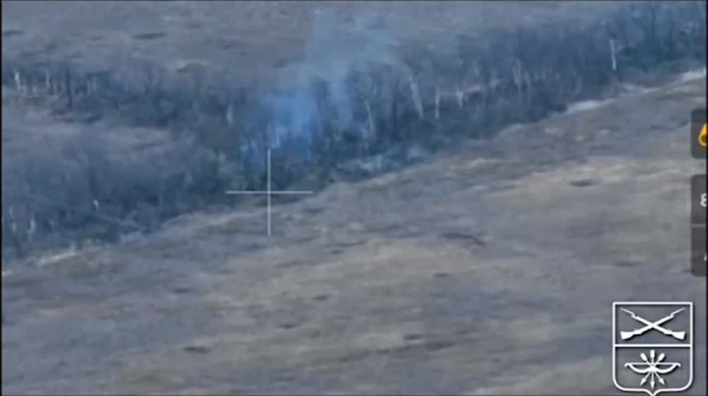 �������� �����: ���� ����� ����������� ����������� ����� �� ���������� ���������