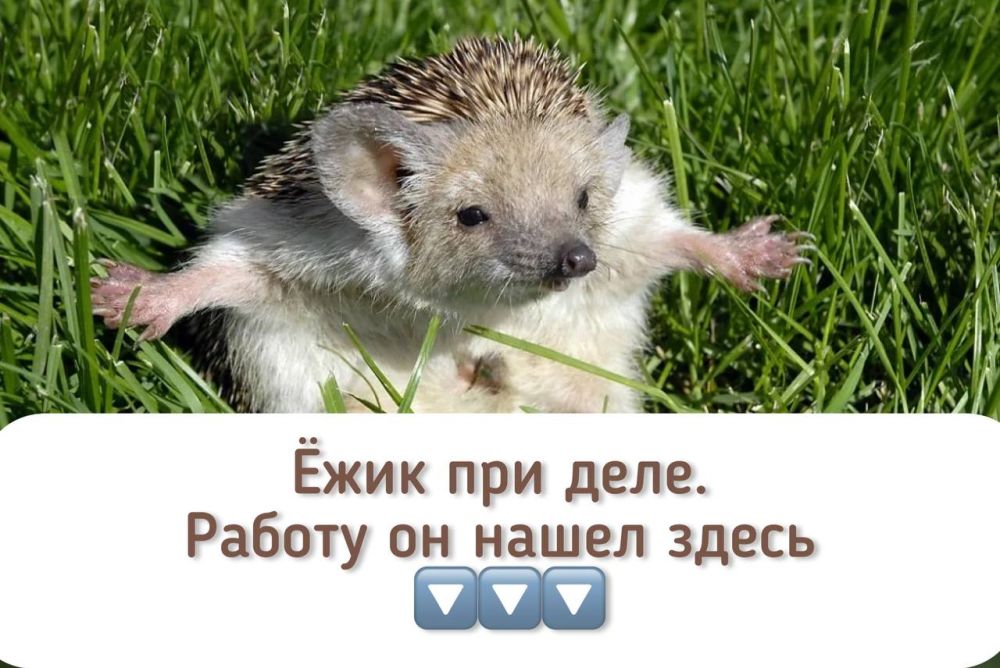 ������ ����� ����� �����